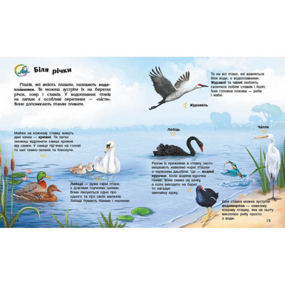 Энциклопедия дошкольника Птицы 614032 для самых маленьких | Зображення 2