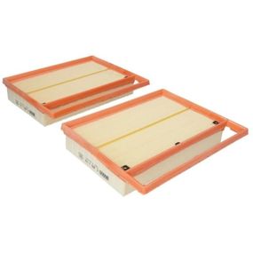 Воздушный фильтр для автомобиля Mann C25110-2