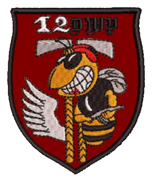 Шеврон 12 ДШР