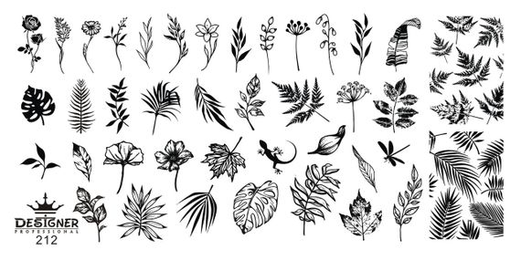 Пластина 212 для стемпінгу Designer Professional (12х6см) | Зображення 1