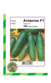 Огірок Атлантис F1 100 насінин Агропакгруп