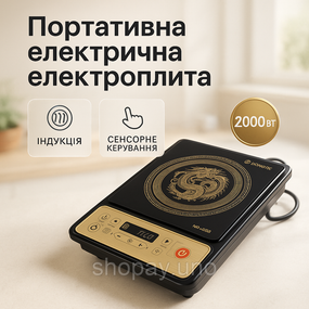Індукційна плита для дачі та будинку, Портативна індукційна електроплита, Плитка електрична переносна XH-38