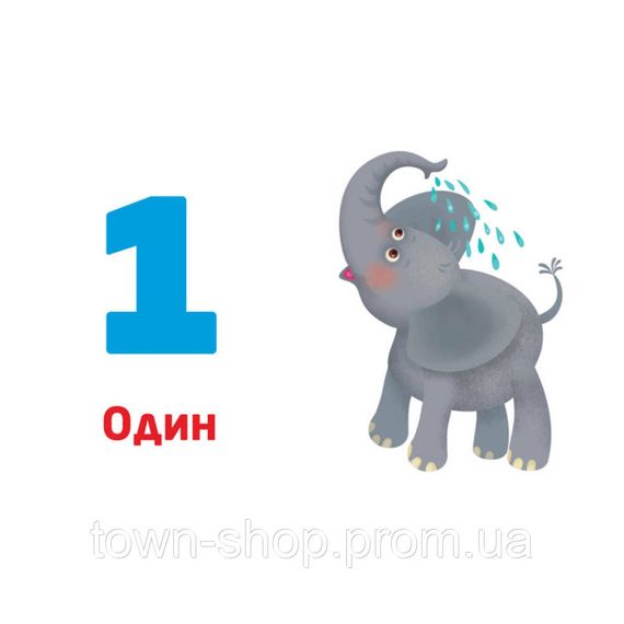 Многокразовые прописи "Цифры и числа" 1155003, 31 карточка | Зображення 5