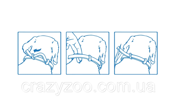 Нашийник інсектицидний Foresto Elanco для собак понад 8 кг 70 см 46371 | Зображення 5