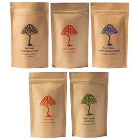 Грибний комплекс Дідусь Мухомор Набір “Активне життя” (4 вида грибів + Збір трав “Детокс”) 60 + 60 + 60 + 60 + 60 капсул