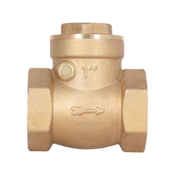 Зворотний клапан Thermo Alliance Standart 1" SD242W25 | Зображення 2