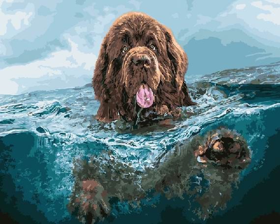 Собака в море