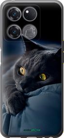 Чохол на OnePlus Ace Racing Димчастий кіт "825u-2955-2448"