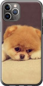 Чехол на iPhone 11 Pro Boo 2 "890u-1788-17620"