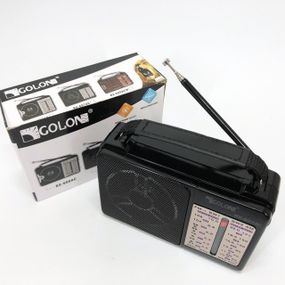 Радіоприймач від мережі GOLON, Портативне FM радіо з флеш-накопичувачем, Кращі цифрові радіоприймачі FN-81