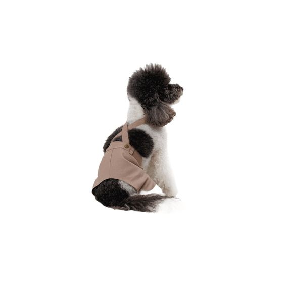 Шорти Pet Fashion Leo для собак XХS | Зображення 1