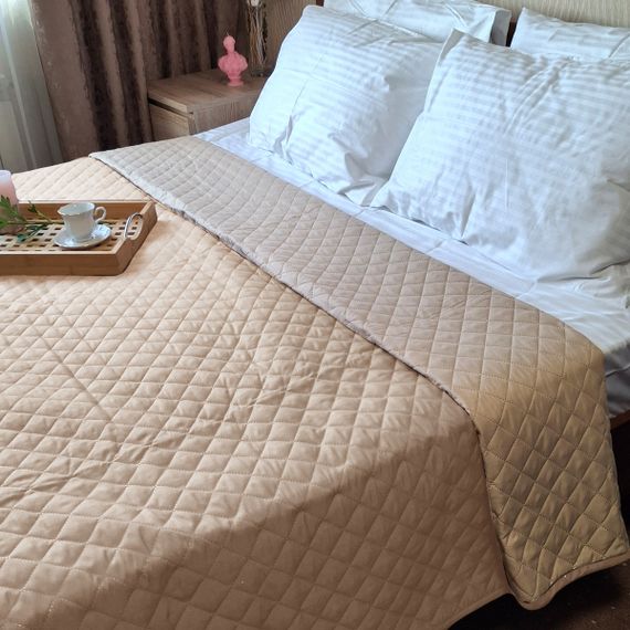 Покрывало SoundSleep Soft Dream двустороннее 160х220 см бежевое (2800004883764)