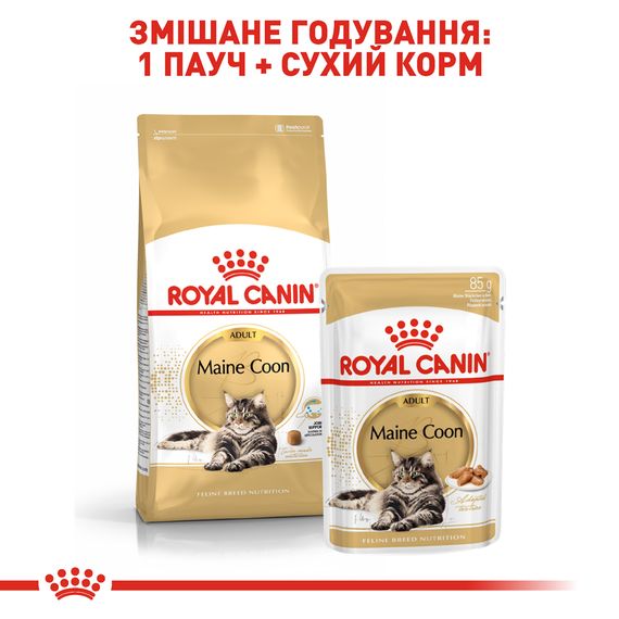 Сухий корм для котів породи мейн-кун від 15 місяців Royal Canin Maine Coon Adult 10 кг | Зображення 3