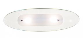 Светильник настенно-потолочный BR-02 407/2