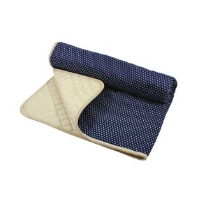 Самокат дитячий iTrike SR2-010-2-WP1 складаний