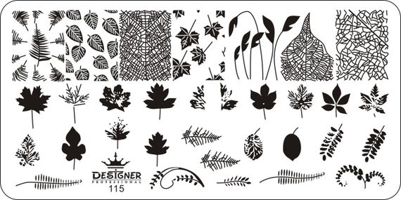 Пластина 115 для стемпінгу Designer Professional (12х6см) | Зображення 1