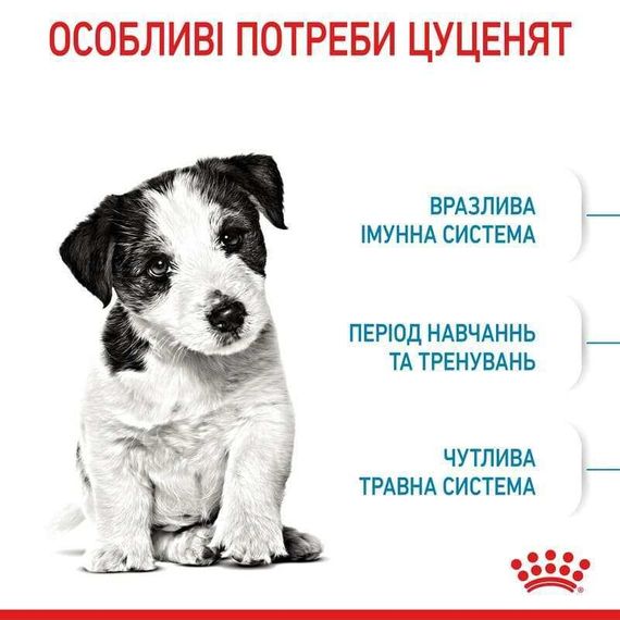 Сухий корм Royal Canin MINI PUPPY для цуценят дрібних порід 8 кг | Зображення 2