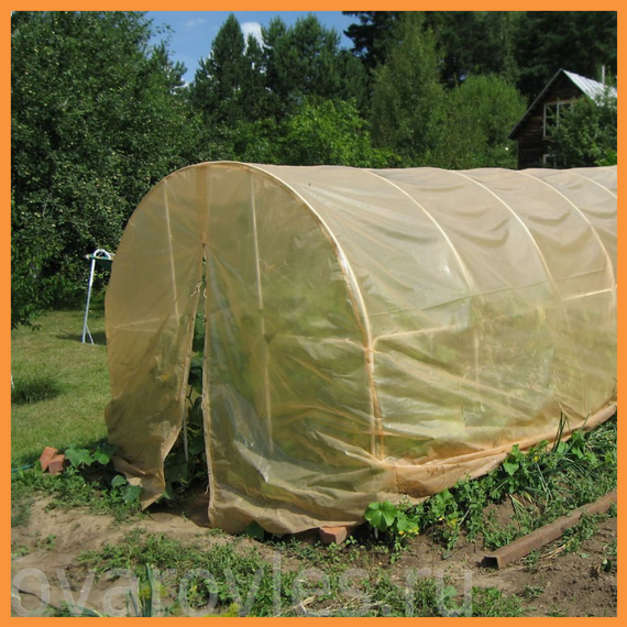 Плівка 200 мкм 6х50 м. з УФ стабілізатором поліетиленова УФ 12 місяців | Зображення 3