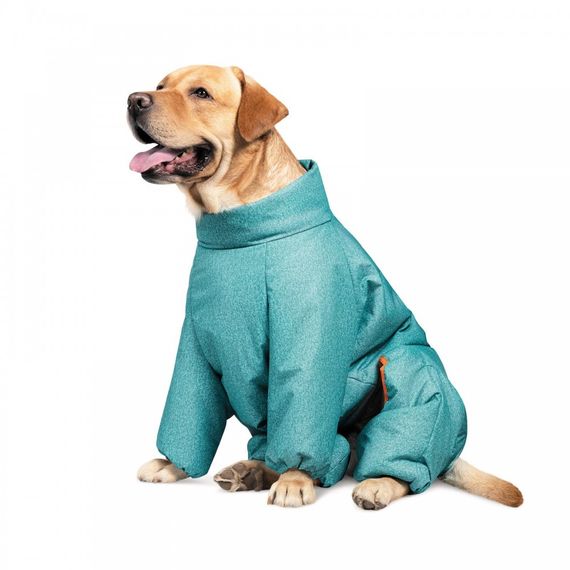 Комбінезон Pet Fashion Cold для собак бірюза XS | Зображення 1