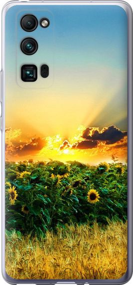 Чехол на Huawei Honor 30 Pro Украина "1601u-1920-17620"