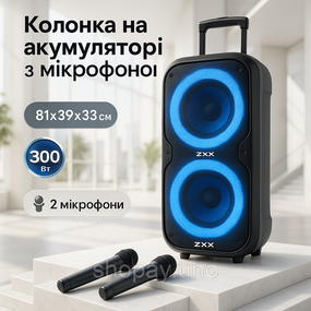 Акустическая переносная колонка ZXX-7575 300 Вт аккумуляторная с микрофонами 80х39х33 см