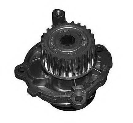 Водяний насос (Вир-во Magneti Marelli кор.код. WPQ1209) MAGNETI MARELLI 352316171209 на VW EOS (1F7, 1F8)