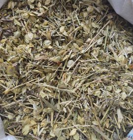 Талабан / Ярутка польова, 100г.