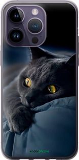 Чохол на iPhone 14 Pro Max Димчастий кіт "825u-2667-2448"