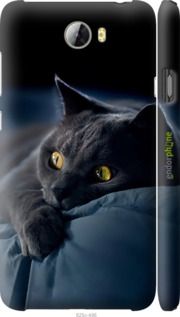 Чохол на Huawei Y5 II Димчастий кіт "825m-496-2448"