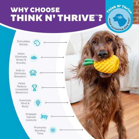 Іграшка для собак Outward Hound Dental Pineapple Dental Chew Toy, 16.5 см | Зображення 4