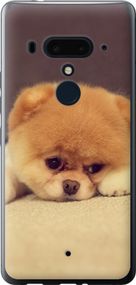 Чехол на HTC U12 Plus Boo 2 "890u-1712-17620"