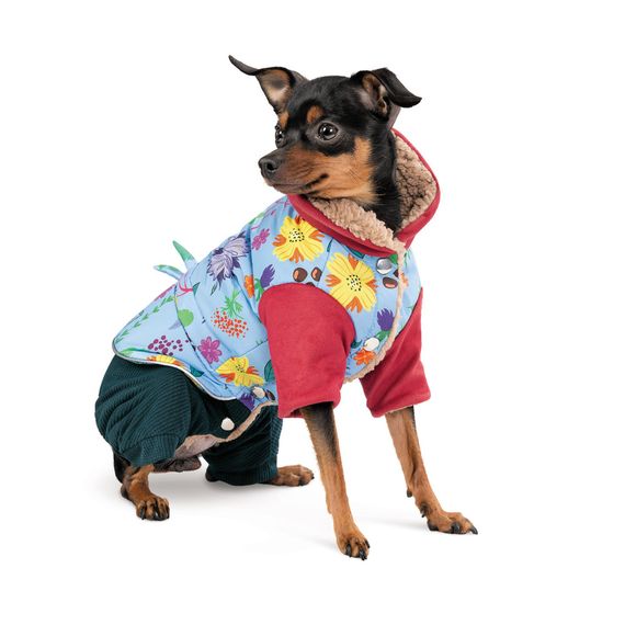 Костюм дівчинка Alisa XS для собак | Зображення 1