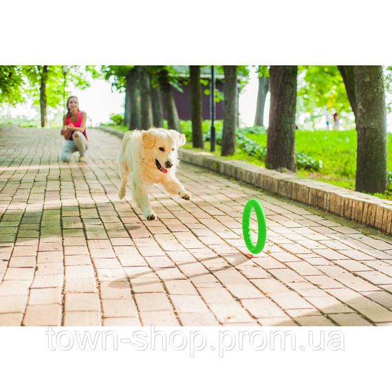 Кольцо для апортировки PitchDog30, диаметр 28 см салатовый | Зображення 7