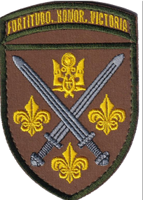 Шеврон 155 бригада