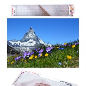 Набір алмазної мозаїки (вишивки) Cornix Art 40 x 30 см AY61