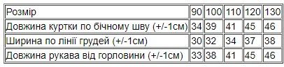 Куртка для хлопчика (демісезон) Носи своє 110 Синій (p-15416-176484) | Зображення 4