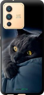 Чохол на Vivo V23 Димчастий кіт "825b-2642-2448"