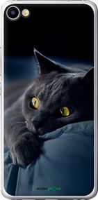 Чохол на Meizu U20 Димчастий кіт "825t-416-2448"
