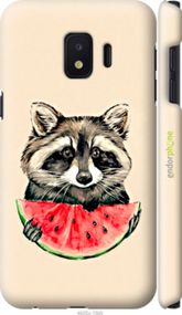 Чохол на Samsung Galaxy J2 Core Єнотик з кавуном "4605m-1565-2448"