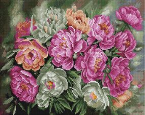 Садові півонії