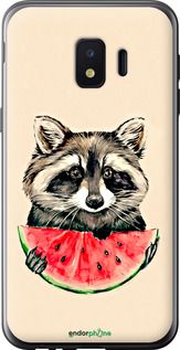 Чохол на Samsung Galaxy J2 Core Єнотик з кавуном "4605u-1565-2448"