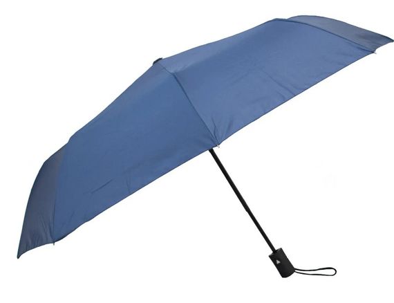 Парасолька Semi Line Blue (L2050-1) (DAS302217)