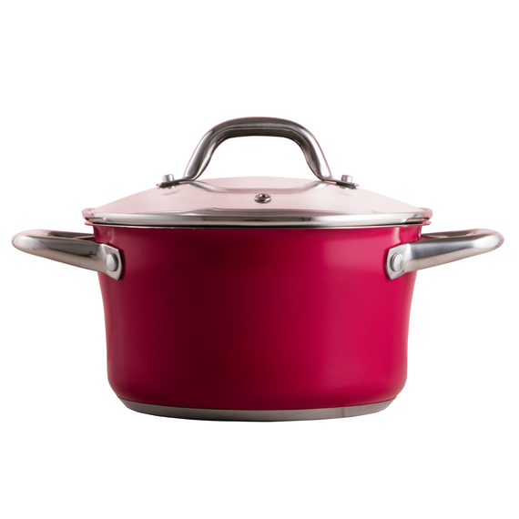 Каструля PR-2403-16 CAMELLIA PEPPER 16 х 9.5 см 1.6 л