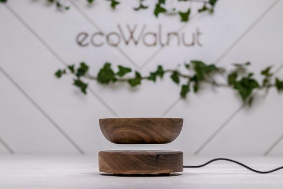 Летающий вазон для растений EcoWalnut с логотипом | Зображення 1