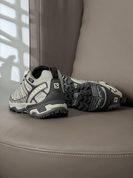 Кроссовки  мужские Salomon Speed Cross Pro GTX Thinsulate Beige Brown весна / осень A4554 | Зображення 2