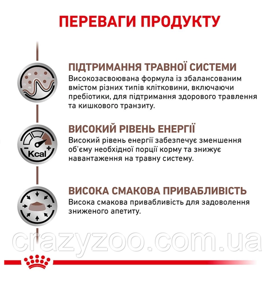 Сухий корм для котів Royal Canin Gastro Intestinal 2 кг 39050201 | Зображення 4