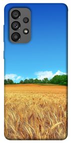 Чохол IBANAN Пшеничне поле для Samsung Galaxy A73 5G