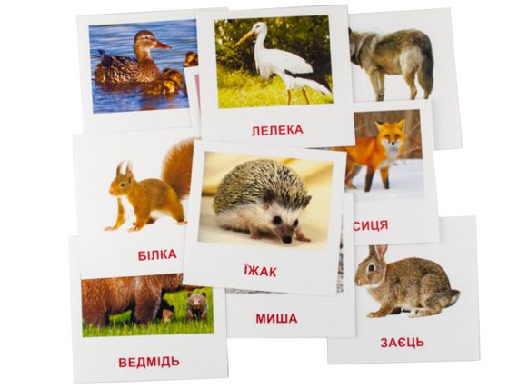 Развивающие карточки "Лесные жители" (110х110 мм) 66425 на укр./англ. языке | Зображення 1