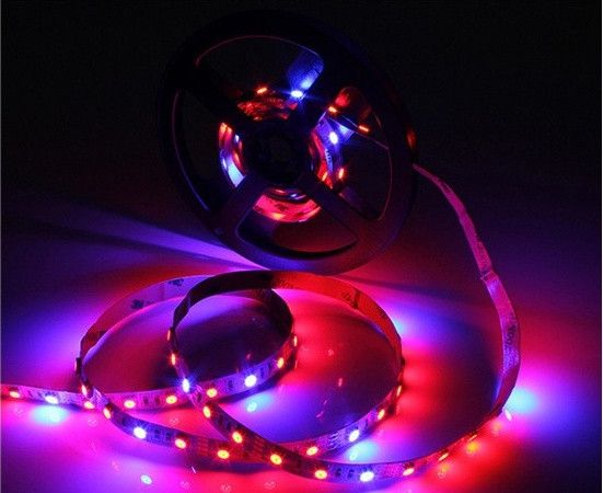 Світлодіодна фіто стрічка SMD 5050 (60 LED / m)  660-460nm (4:1)  IP20 Premium | Зображення 1