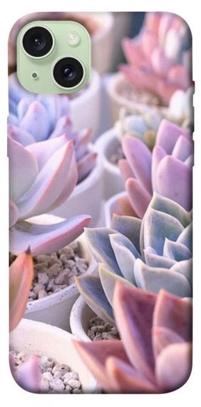 Чохол з картинкою Ехеверія 2 для Apple iPhone 15 Plus (6.7")